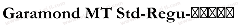 Garamond MT Std-Regu字体转换